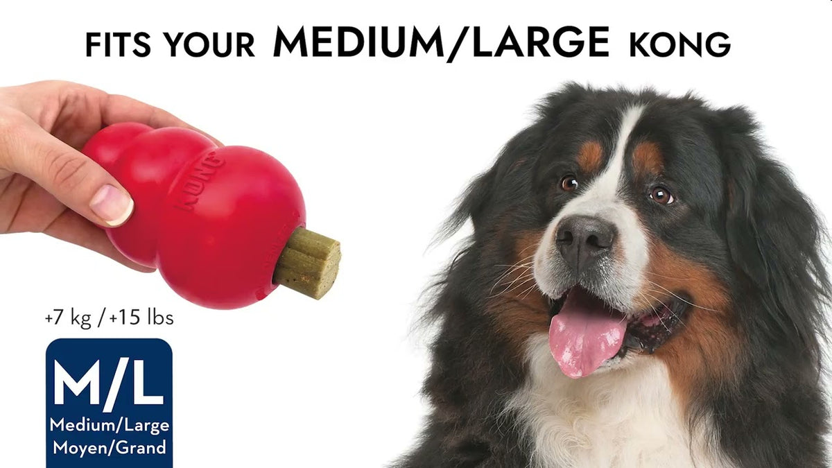 KONG Enhanced Ziggies Puppy M/L