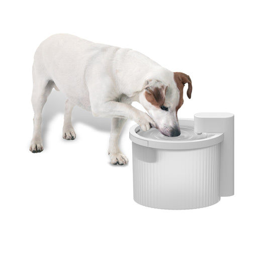 AFP Lifestyle 4 Pets Wireless Fountain