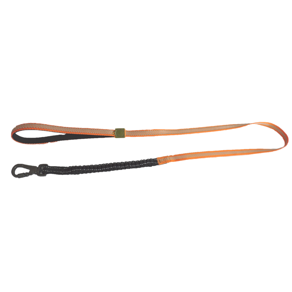 AFP Off Street - Dog Leash Mandarijn M