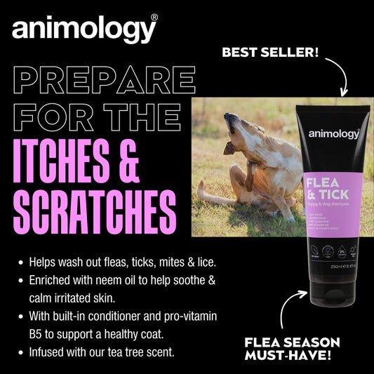 Animology Flea & Tick Dog Shampoo 250 ml