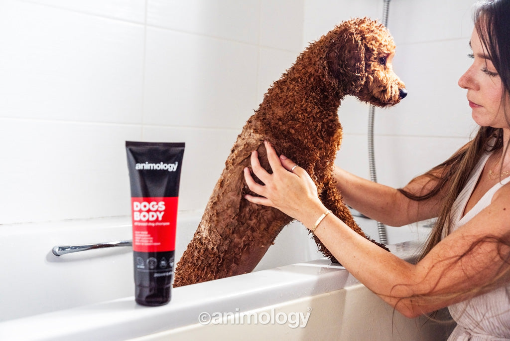 Animology Dogs Body Dog Shampoo 250 ml