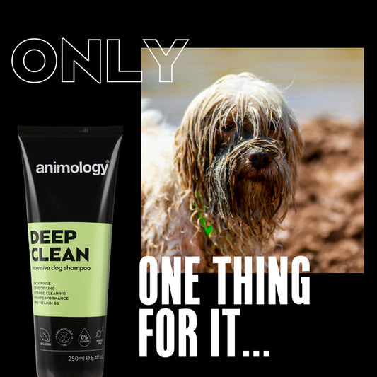 Animology Deep Clean Intensive Dog Shampoo 250 ml