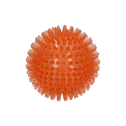 Dog Comets Exoplanet Egelbal M Oranje