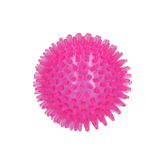 Dog Comets Exoplanet Egelbal M Roze