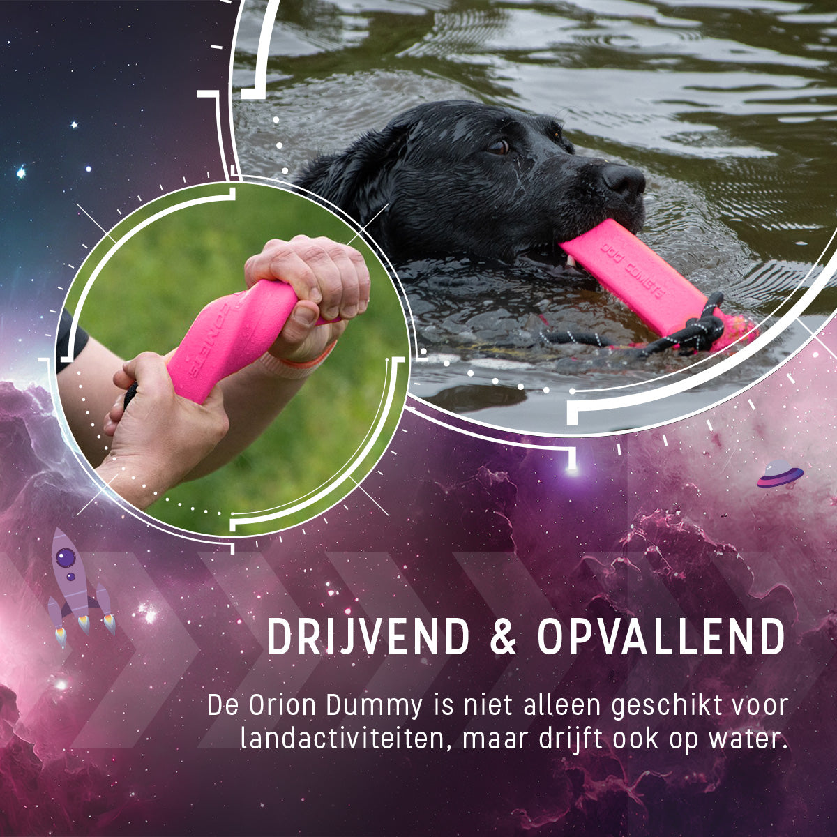 Dog Comets Orion Roze