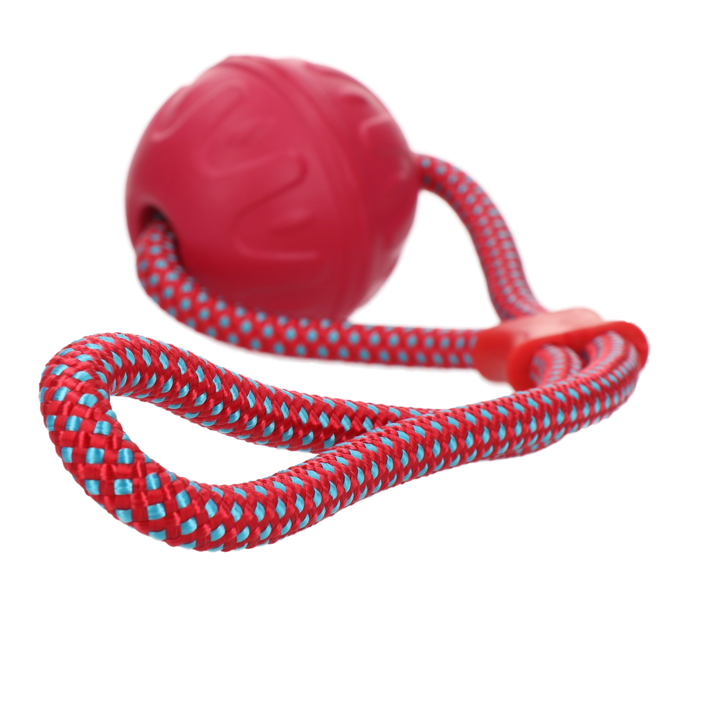 Dog Comets Vortex Loop Roze