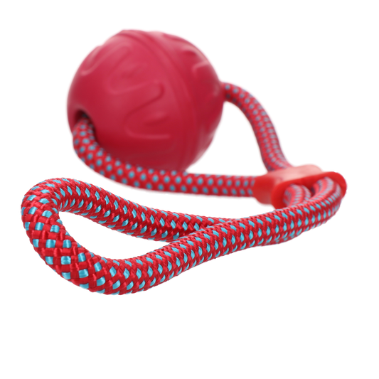 Dog Comets Vortex Loop Roze