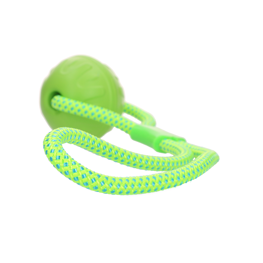 Dog Comets Vortex Loop Groen