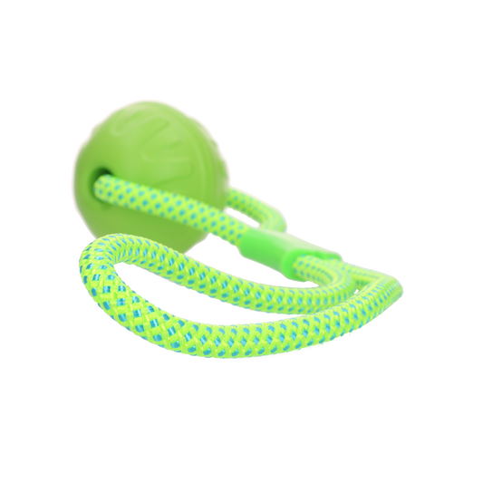 Dog Comets Vortex Loop Groen