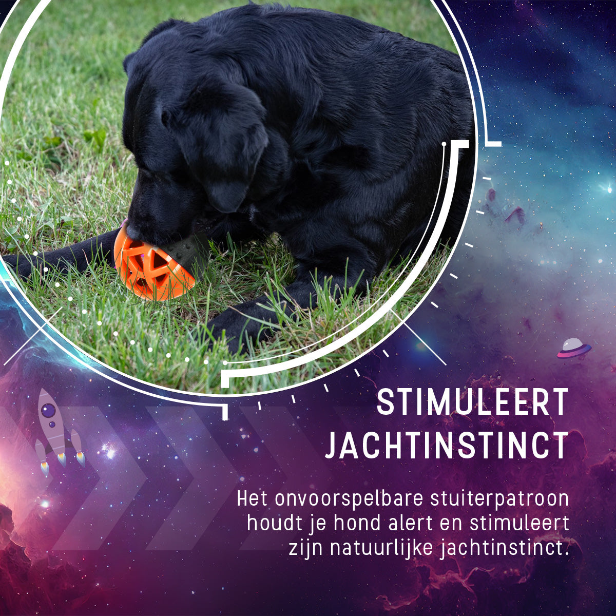 Dog Comets Moonstone Traktatiebal Oranje
