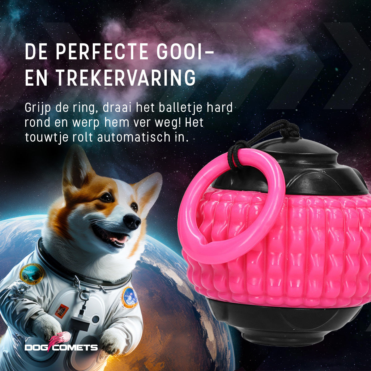 Dog Comets Blazar Jet Roze