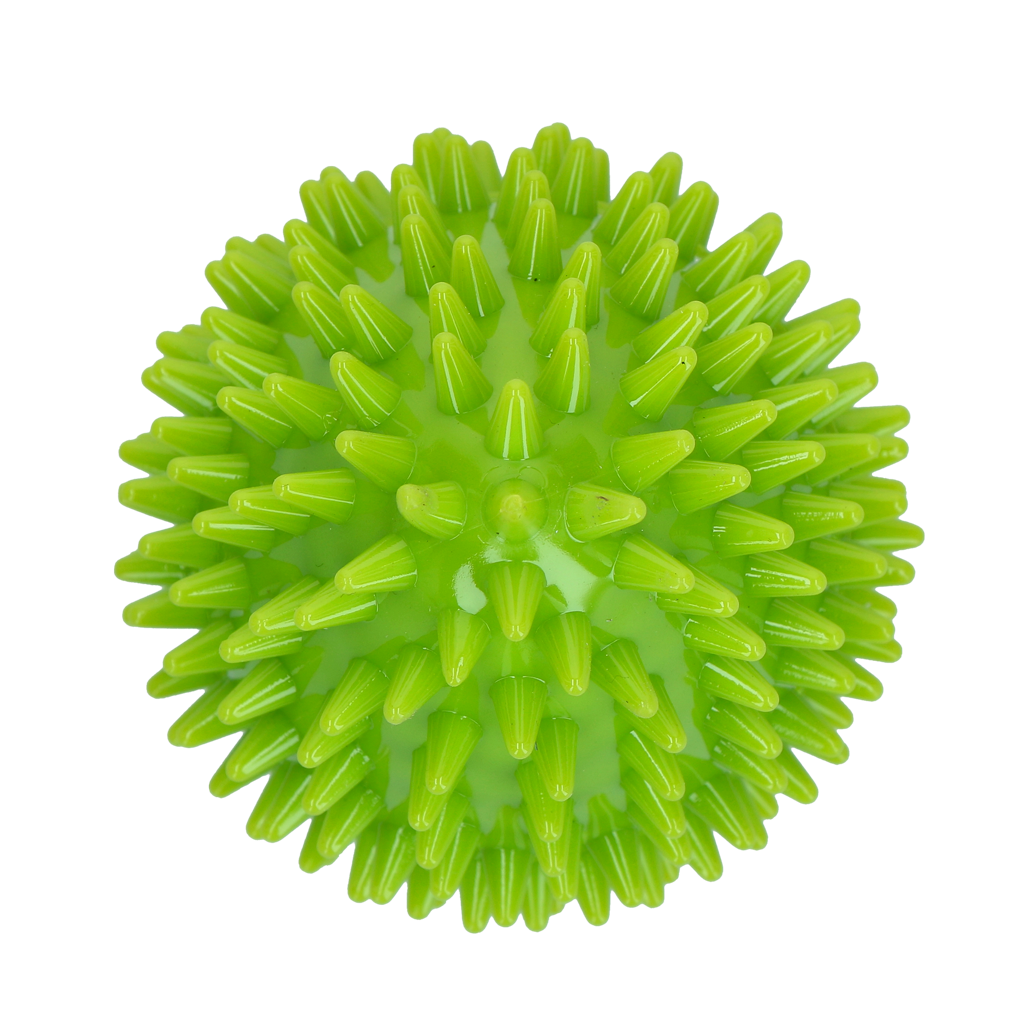 Dog Comets Cosmic Egg Groen M
