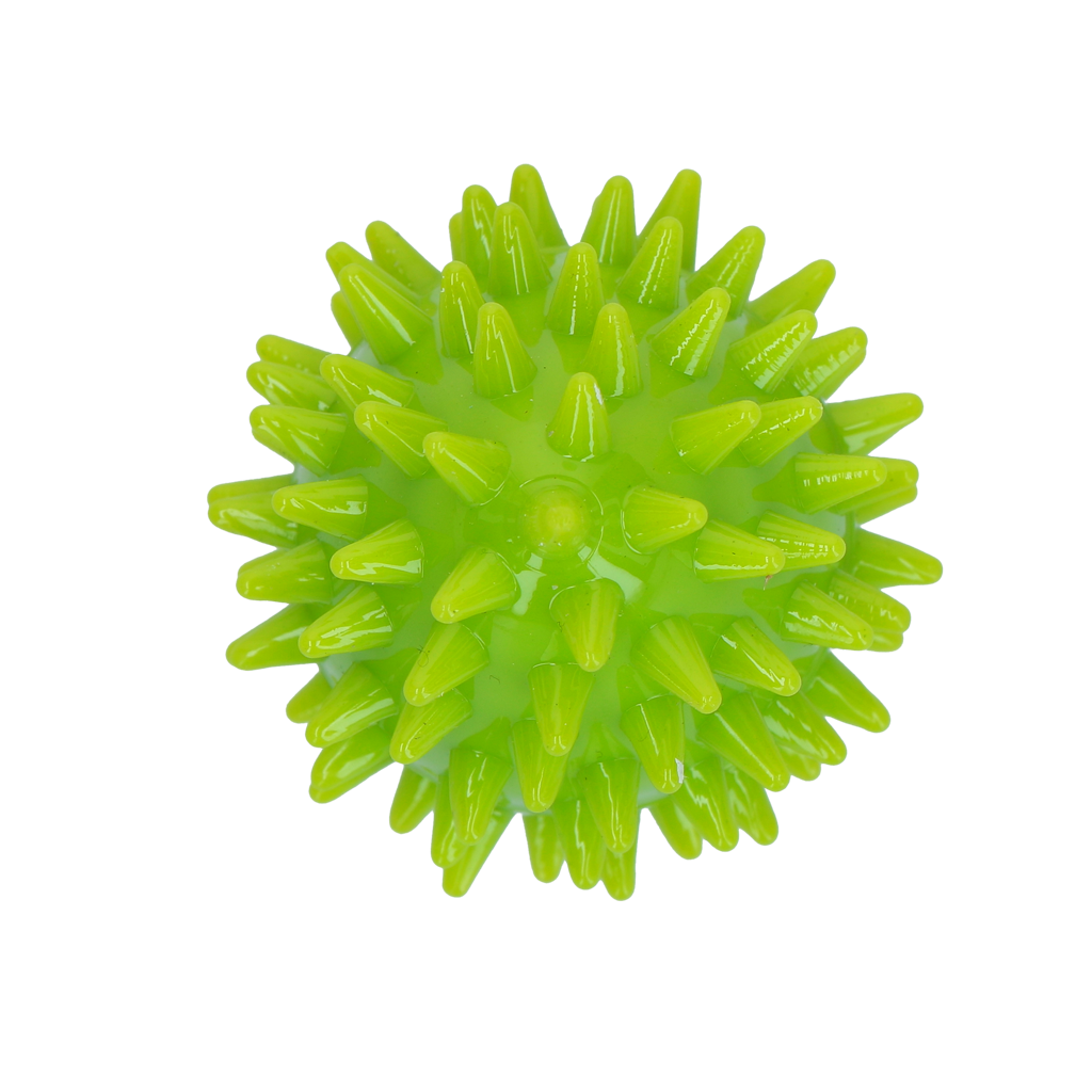 Dog Comets Cosmic Egg Groen S