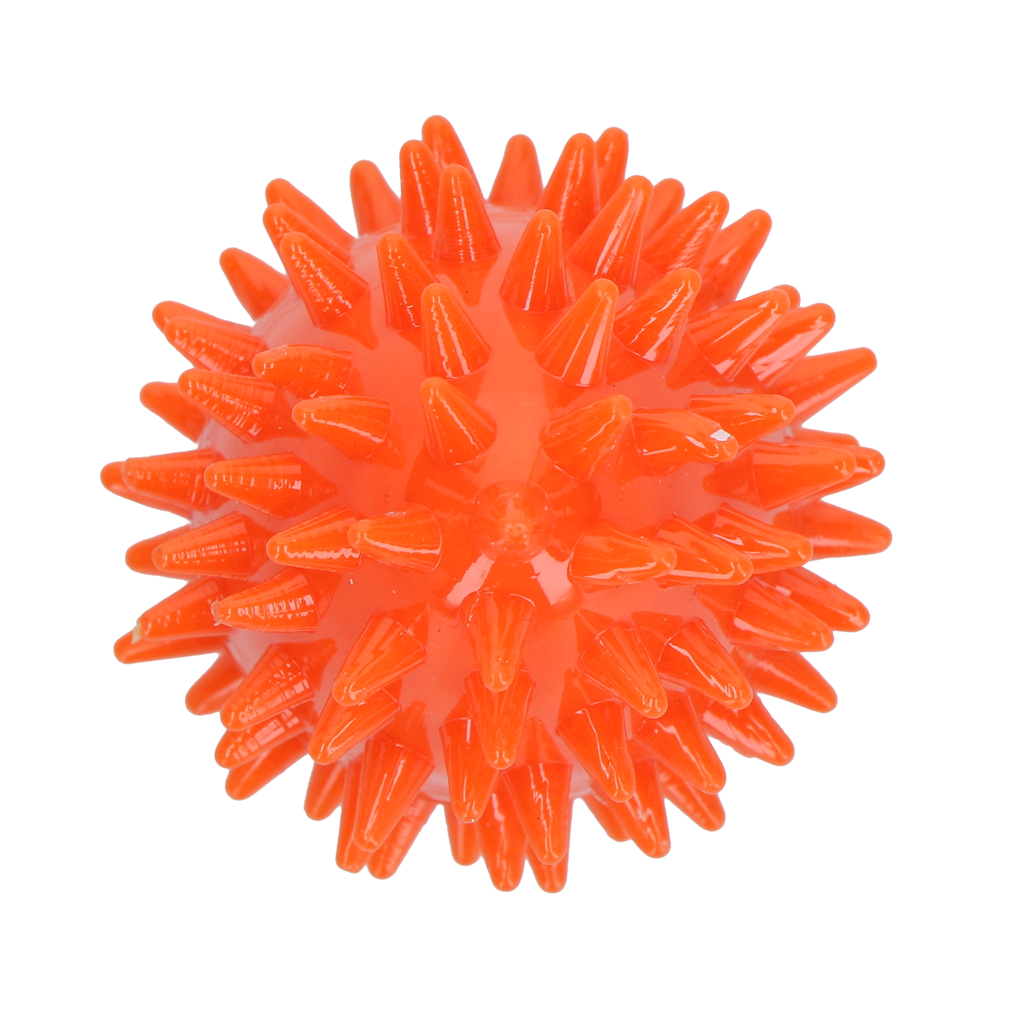 Dog Comets Cosmic Egg Oranje S