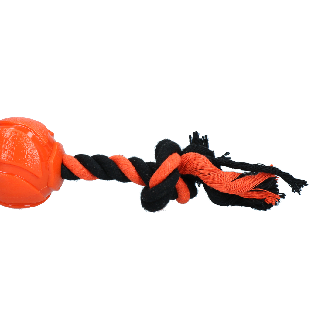 Dog Comets AstroTug Oranje
