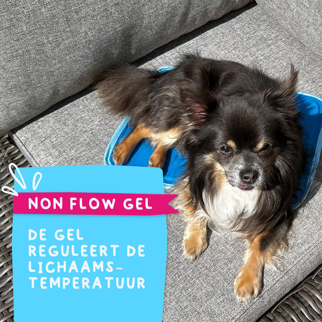 Coolpets Premium Solid gel Cooling Mat XS 40x30cm