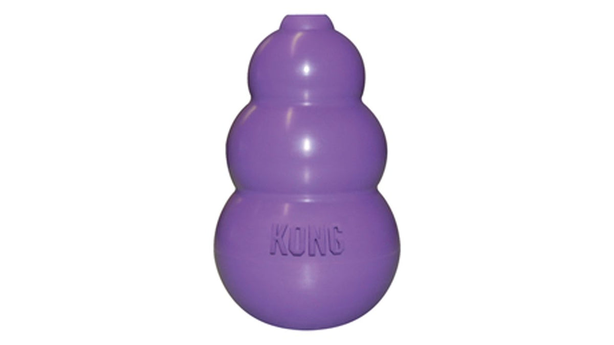 KONG Kitty KONG