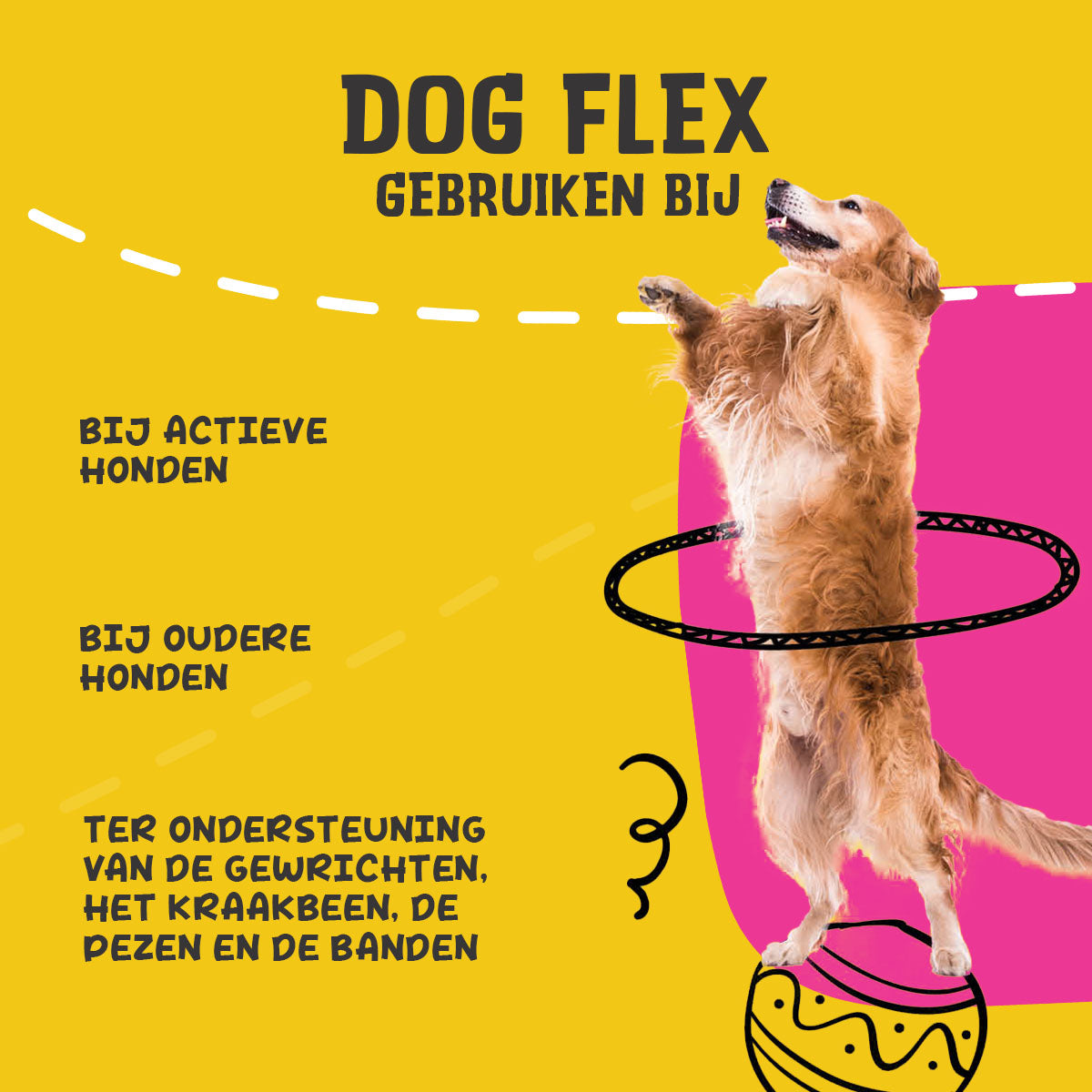 Excellent Pets Dog Flex 250 ml