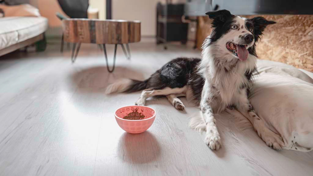 Eat Slow Live Longer Lick Mat Wobble Bowl Roze