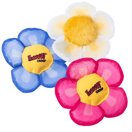 Yeowww! Display Strip Daisy's Flower Top 12 st.