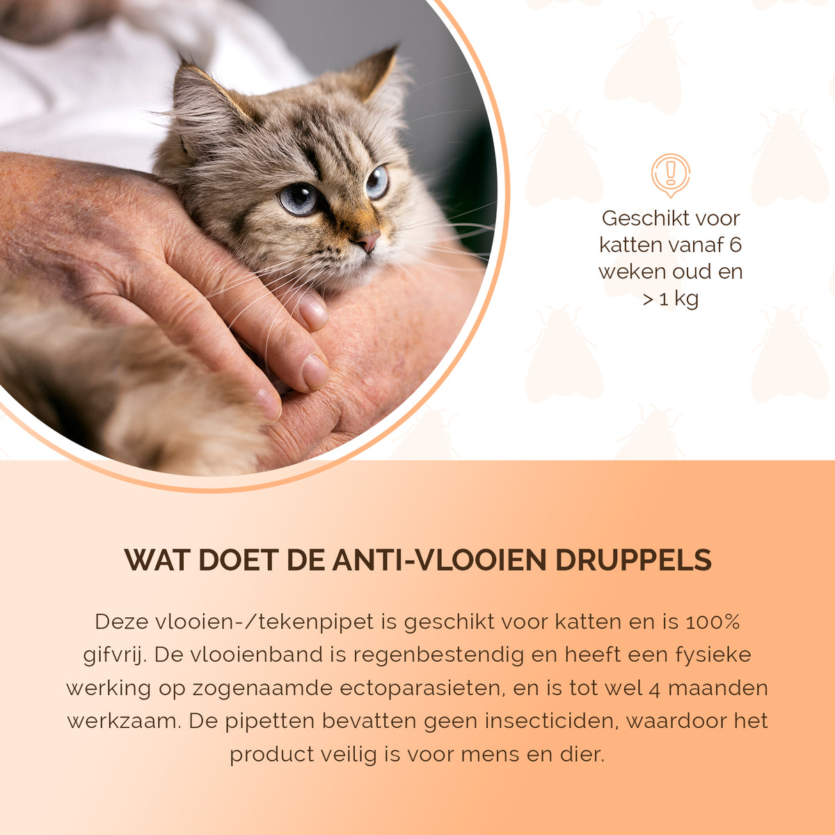 Knock Pest vlooien-tekenpipet Kat NL/FR