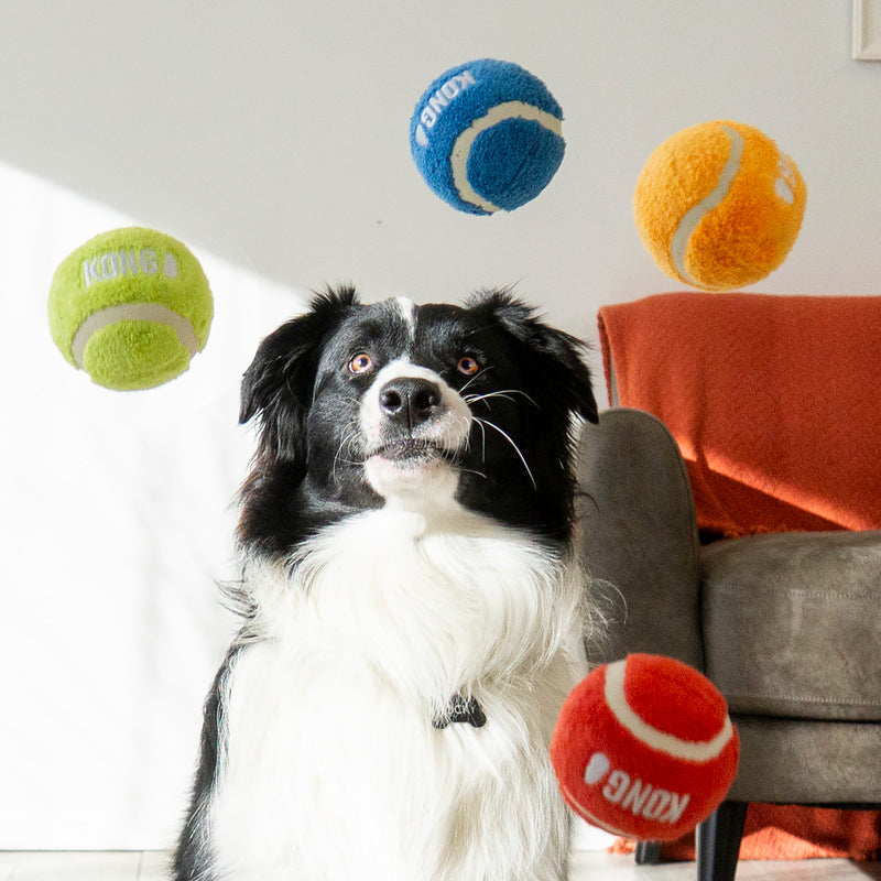 KONG Sport Softies Ball Assorted M