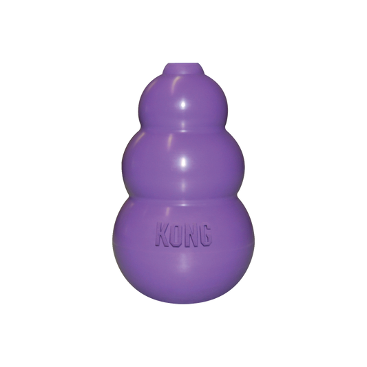KONG Kitty KONG