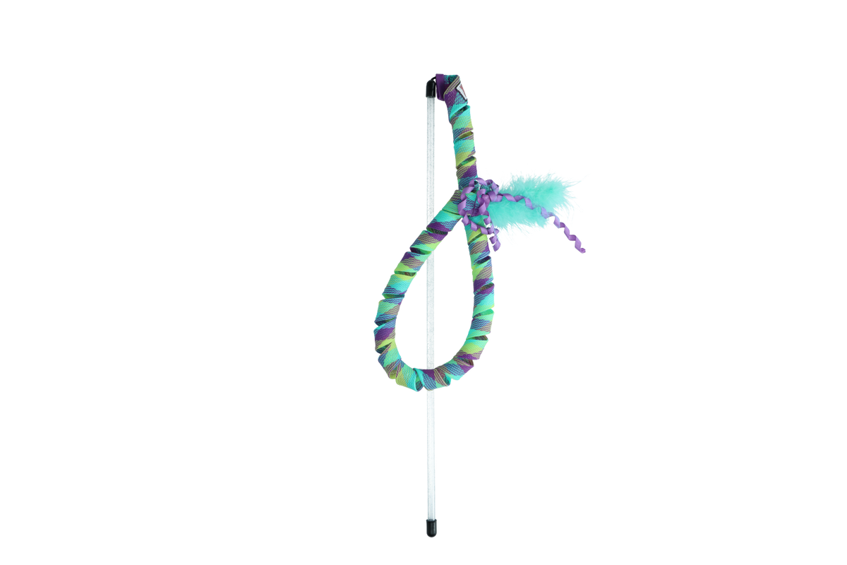 KONG Curlz Teaser