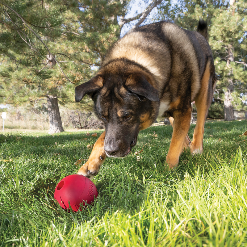 KONG Extreme Ball Met Gat Rood L