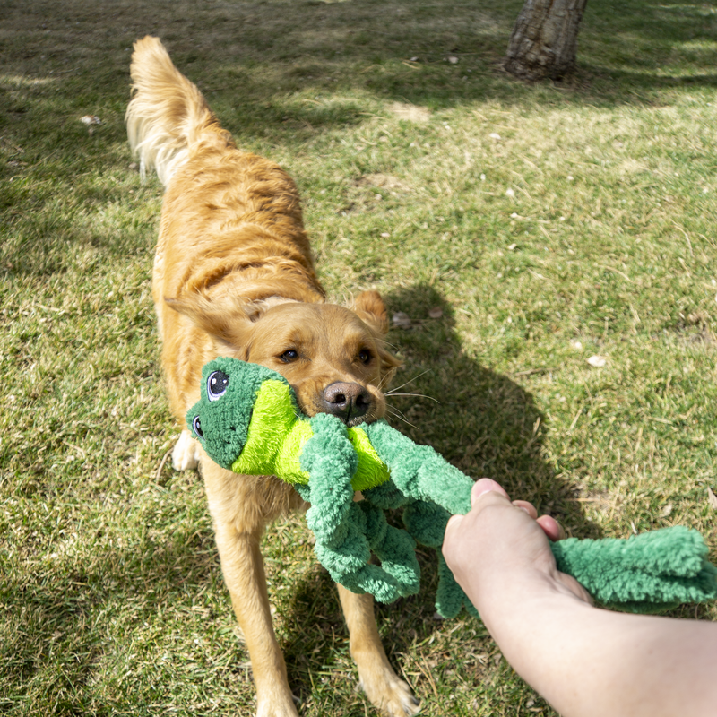 KONG Knots Frog