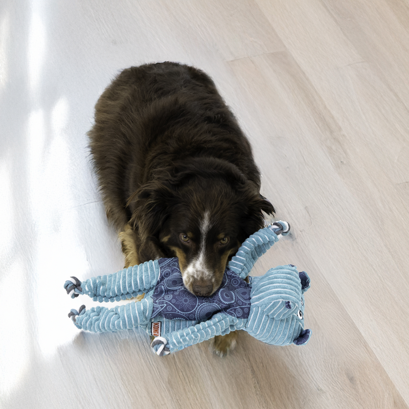 KONG Knots Floppy Hippo