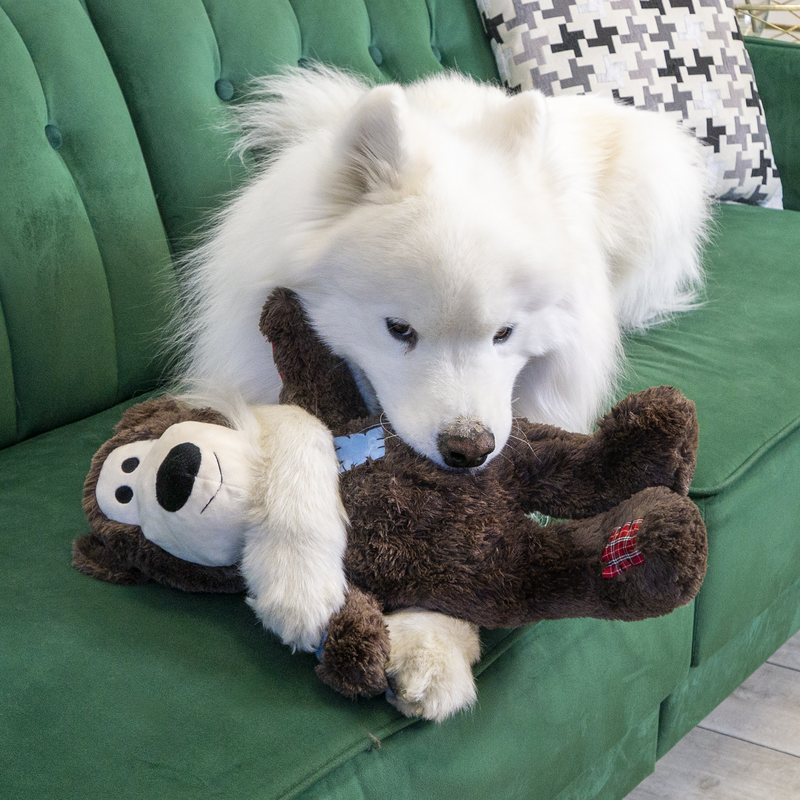 KONG Knots Wild Bear