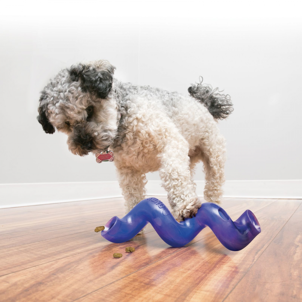 KONG Treat Spiral Stick Assorti S