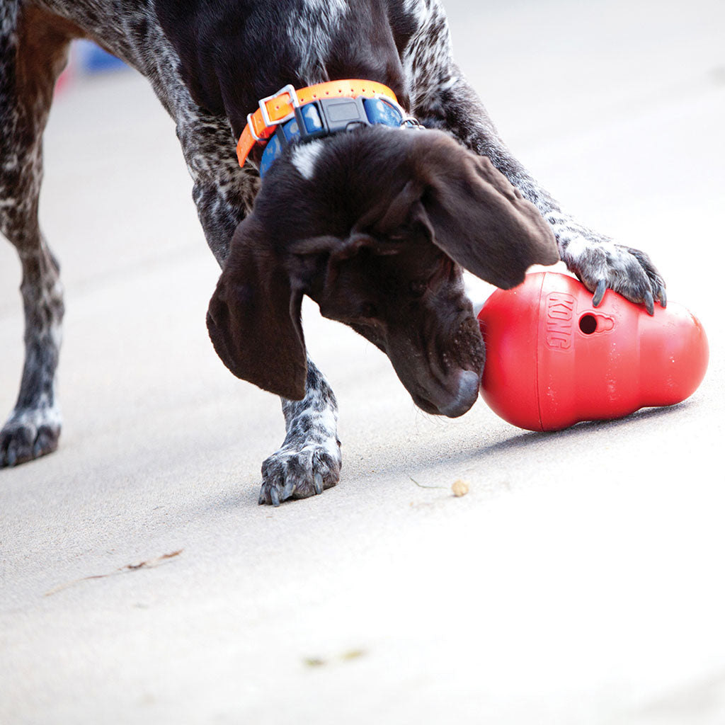 KONG Wobbler L
