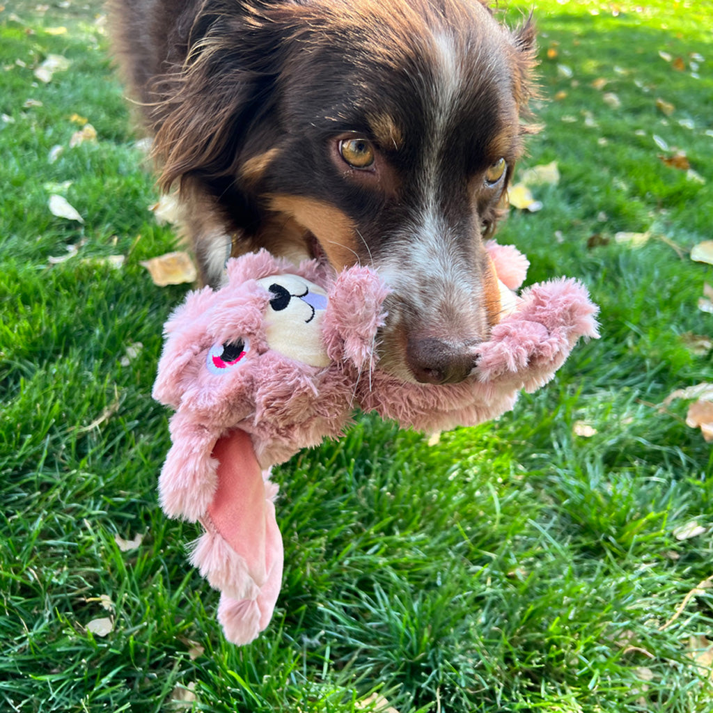 KONG Scrumplez Bunny M