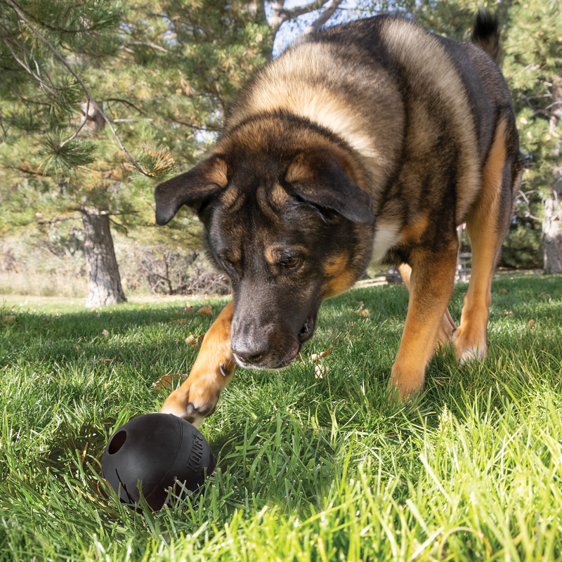 KONG Extreme Ball Met Gat Zwart L