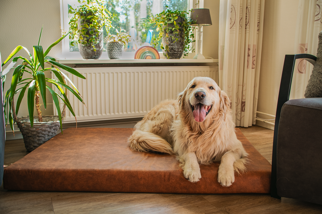 Let's Sleep Mellow Mattress Orthopedisch Kussen M Cognac