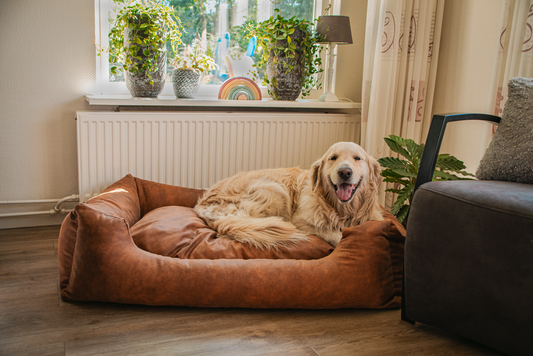 Let's Sleep Sweet Dreams Hondenmand Met Kussen XL Cognac