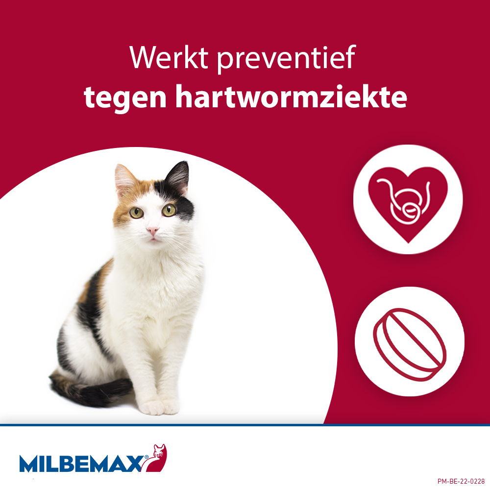 Milbemax Tabletten Kat Groot >2kg 4 tabl.