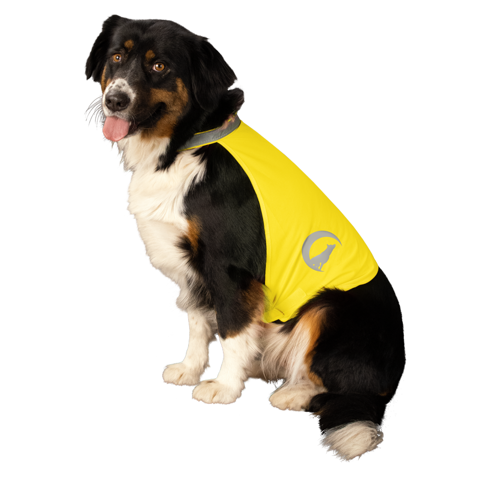 Nightwalk Safety Vest Geel M