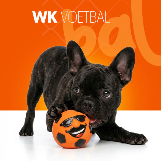 Oranje Mr. Dutch M