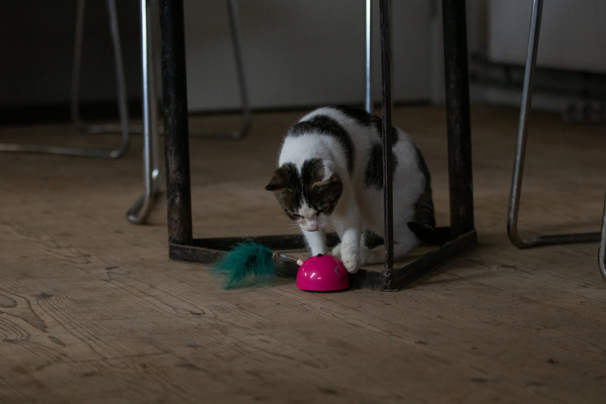 Robocat Muis Roze