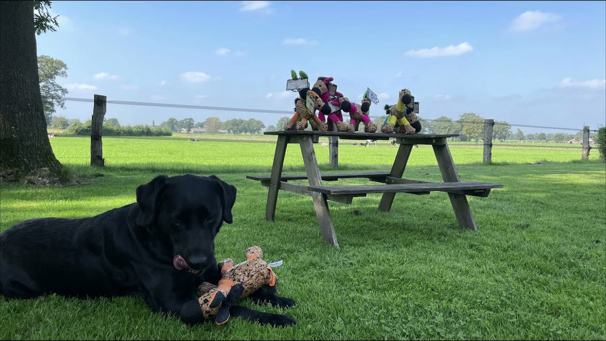Retrodog Donkey Groen S