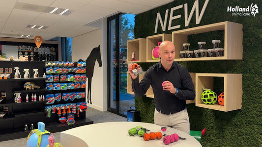 Dog Comets Tennisbal Met Pieper Neutron Star L Oranje