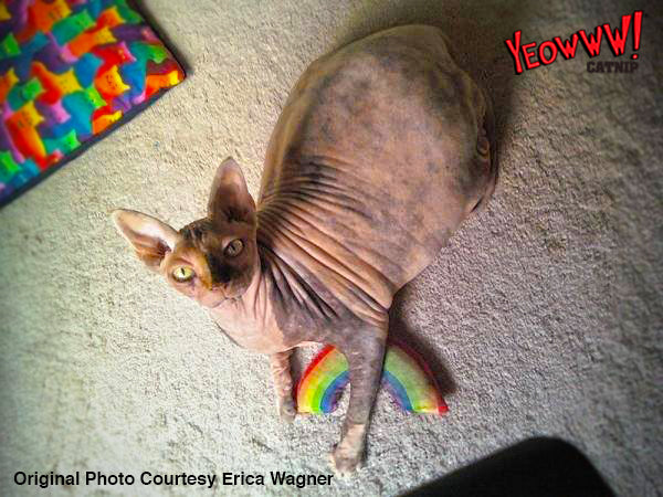 Yeowww! Rainbow