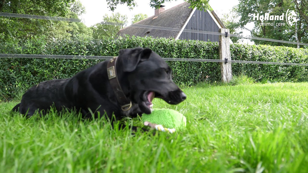 Fuzzle Hedgie met staart Rood