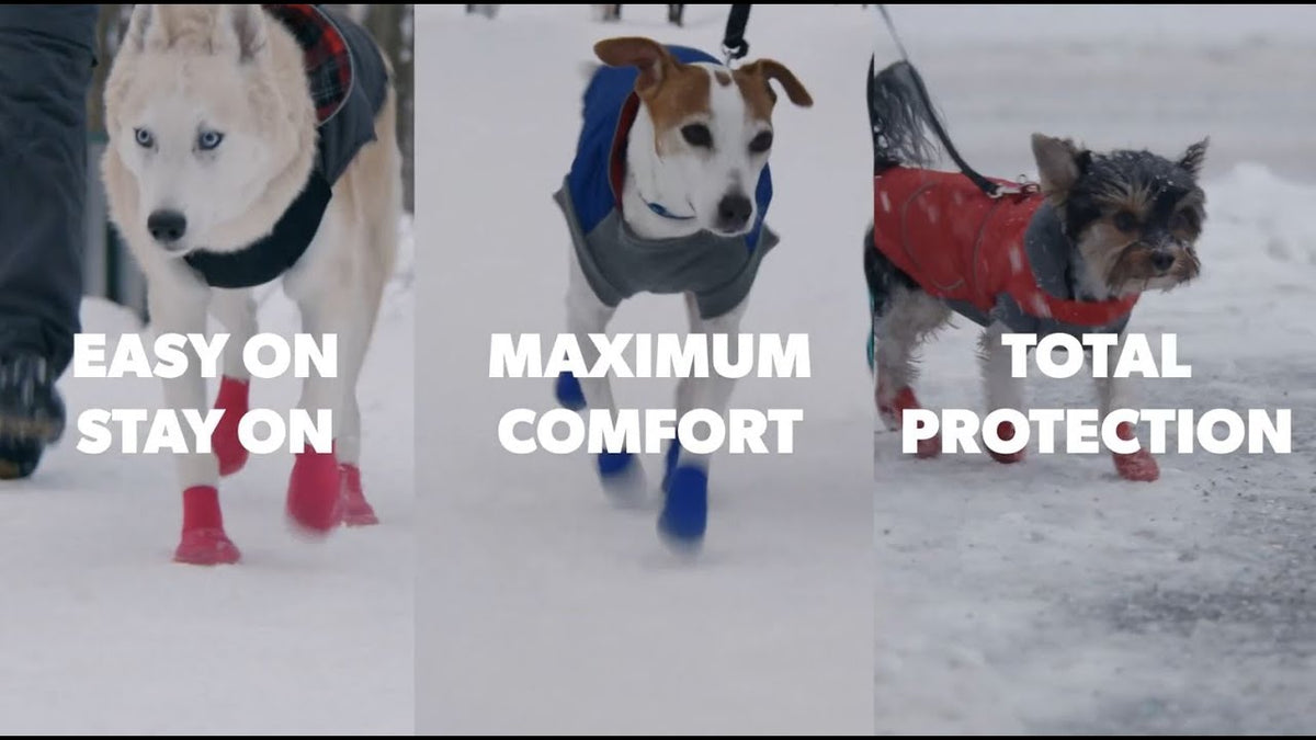 Goo-eez Dog Boots Lites 4 Per Pack XXS Zwart