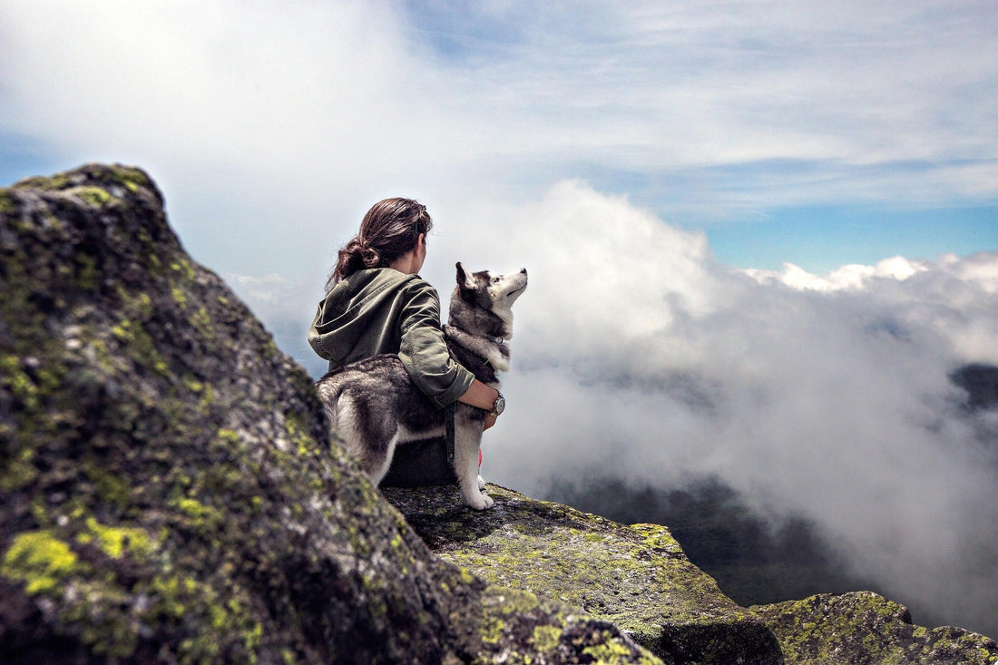 Hond en vrouw op berg in de natuur
