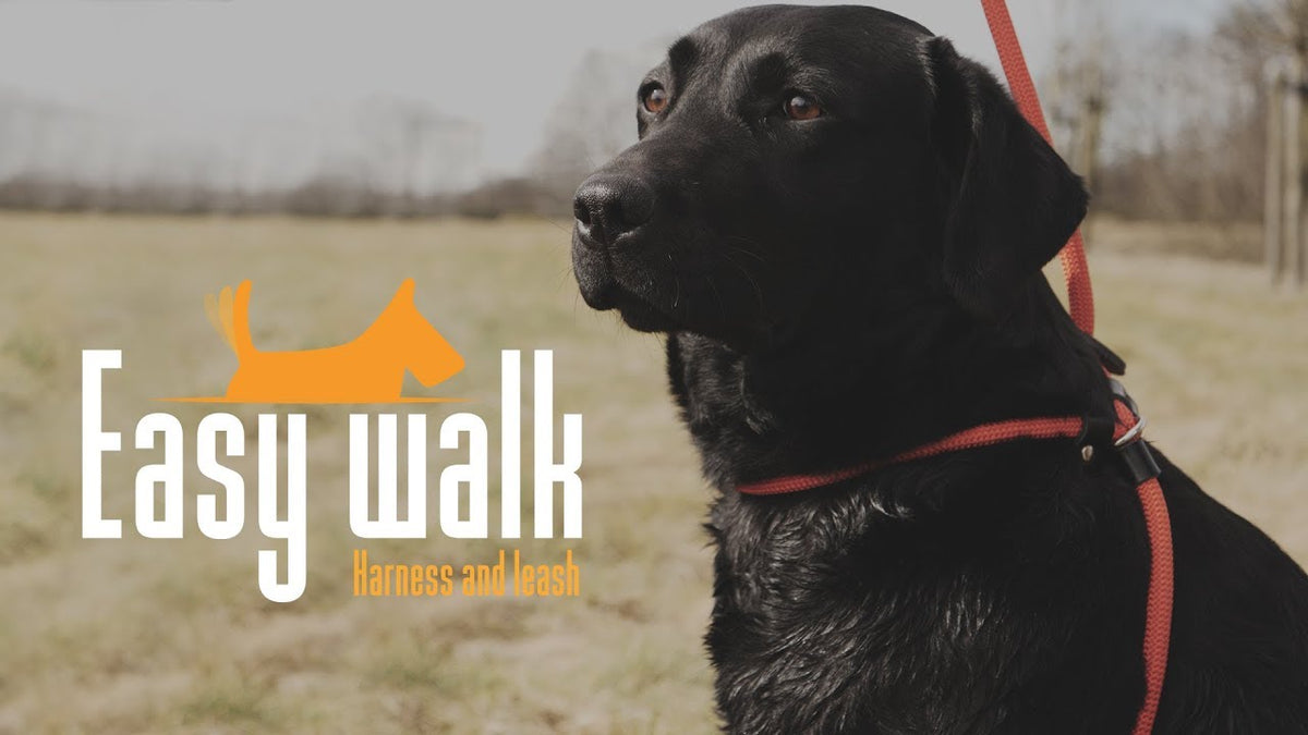 Easy Walk Handmodel Zwart
