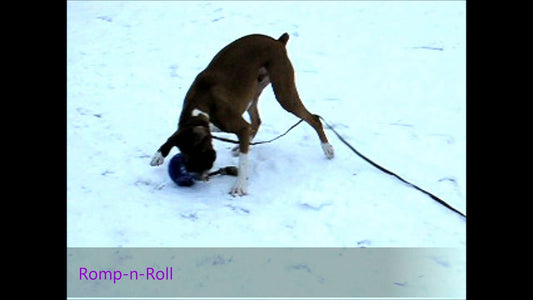 Jolly Romp-n-Roll Vanille L (20 cm)